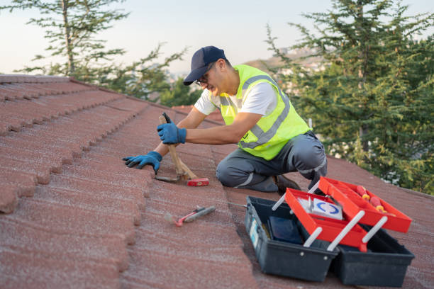 Roof Gutter Cleaning in Boothwyn, PA